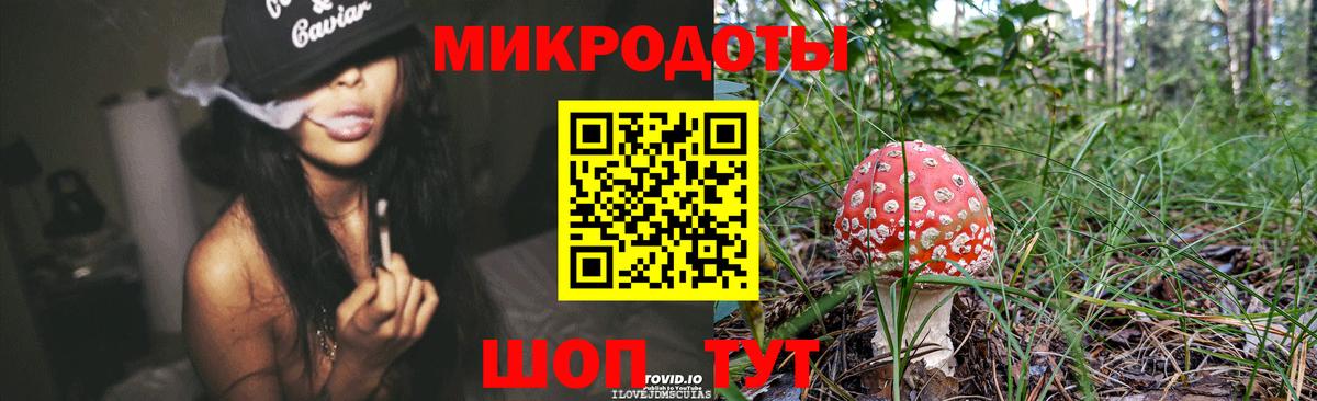 Камень-на-Оби  Псилоцибиновые грибы Magic Shrooms  Псилоцибиновые грибы GOLDEN TEACHER  Вход с VPN 